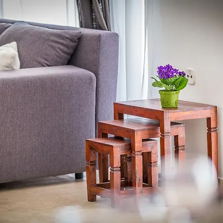 White House بيت للعطل