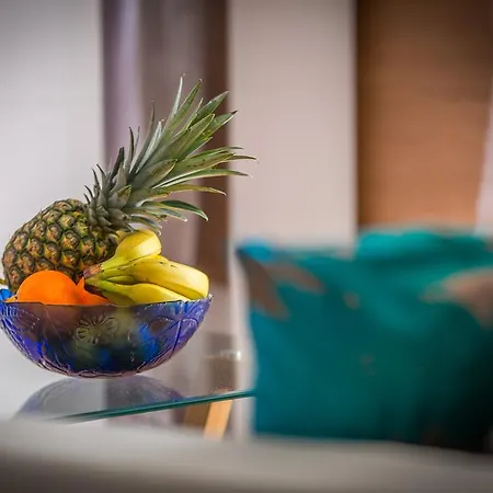 White House بيت للعطل