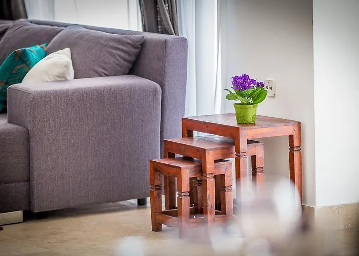 White House بيت للعطل